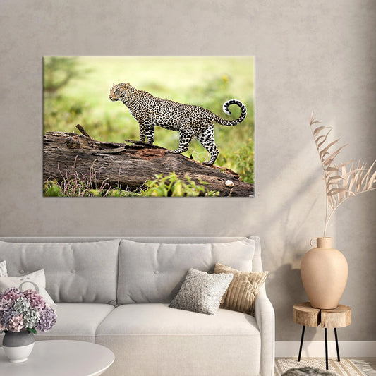 Leopard  Framed Canvas